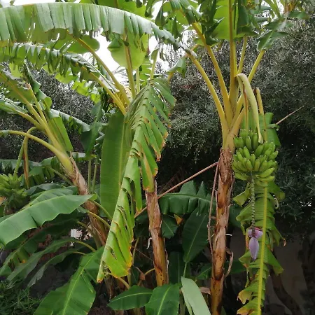 La Casa Di Alice Διαμέρισμα